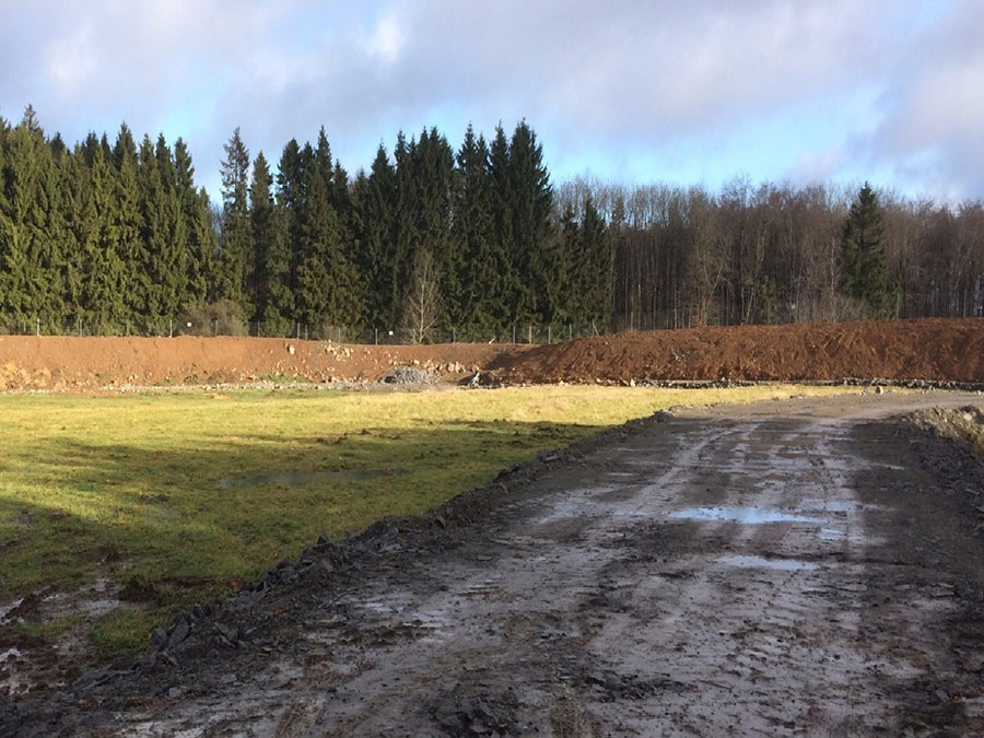 Rodung Reitelsberg