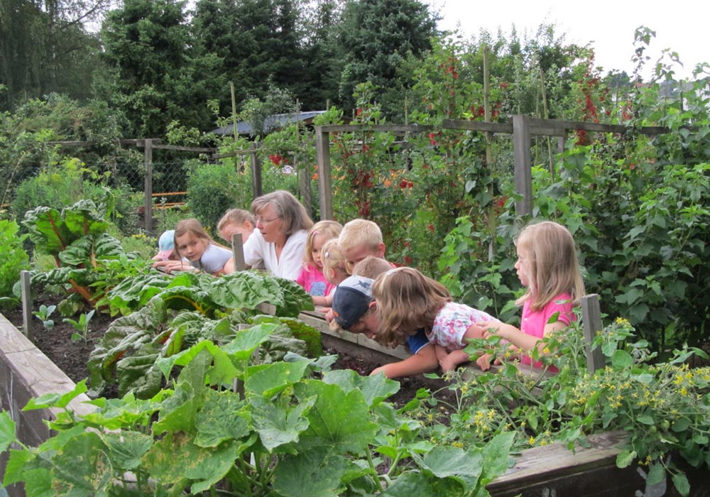 Obst und Gartenbauverein Els 04