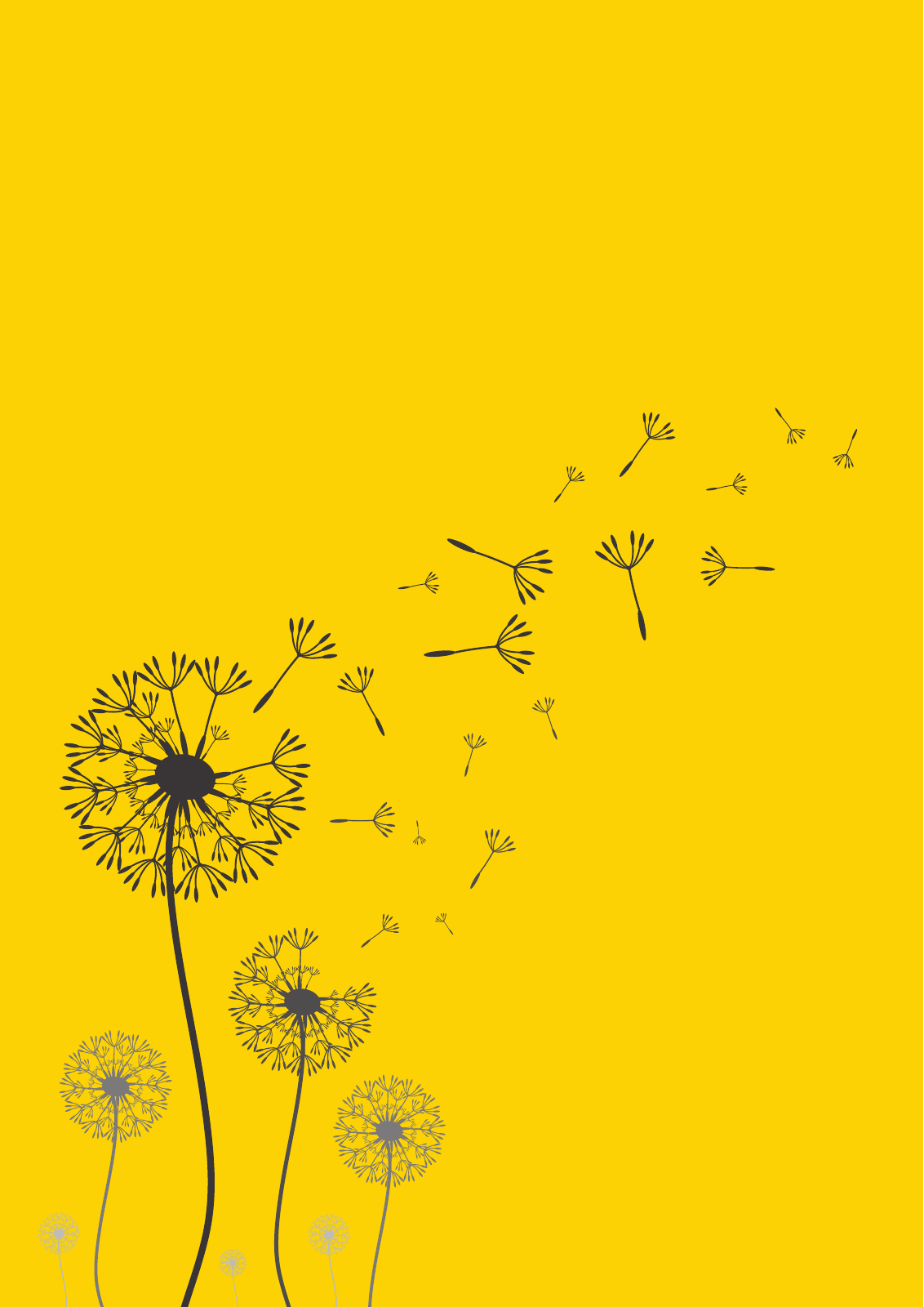 Vorschau HHG Historie Seite 4