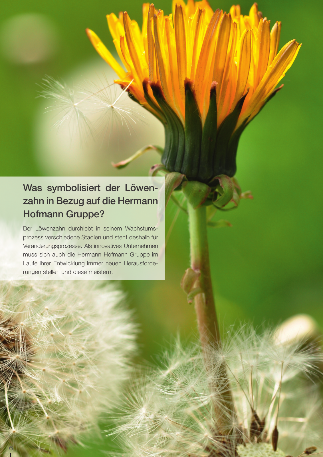 Vorschau HHG Historie Seite 6